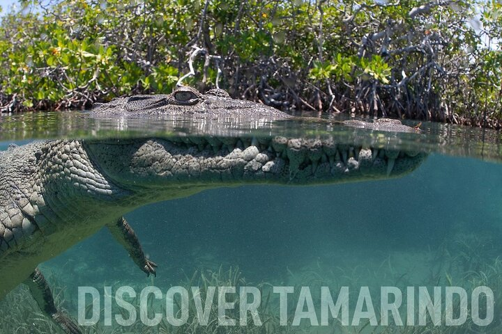 Tamarindo Estuary Tour - Photo 1 of 10